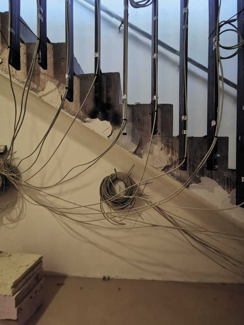 GUERRIERI GONZAGA MARIA-LUISA